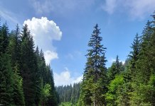 Radovi na sanaciji odrona