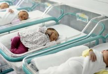 Рођено 19 беба