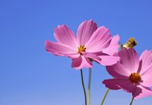 Сунчано и пријатно топло