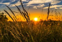 За викенд до 34 степена Целзијусова, топло и првог дана јесени