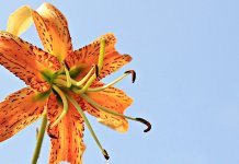 Наредна три дана сунчано и топло, понегдје могућа киша