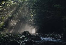 Најљепша фотографија „Зраци изнад ријеке“ Глорије Глуховић