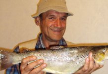 Приче из престонице: Оволика риба!