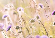 И данас вруће, температура ваздуха до 39 степени Целзијусових