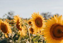 Посљедњи врели талас овог љета до уторка