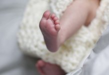 Рођене 33 бебе