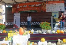 Највећа тиква тешка 47,6 килограма