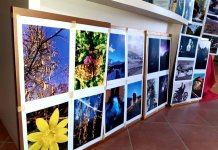 Изложба фотографија младих аутора