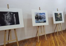 Изложбом радова завршена ликовна колонија