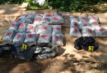 Заплијењена 64 килограма марихуане