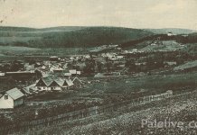 Пале у савременом добу (I дио, до 1941. године)