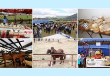 Почиње регионална пољопривредна изложба и сајам