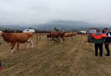 Уручено 140 новчаних награда