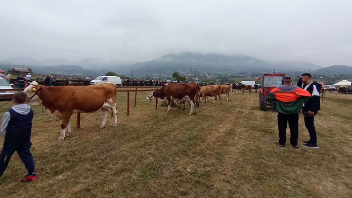 sajam-stoke-rogatica-23