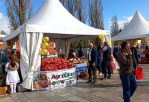 Више од 30 излагача на „Данима рогатичког кромпира и романијског кајмака“