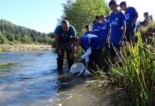 Порибљена ријека Биоштица