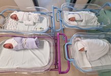 Рођене 33 бебе