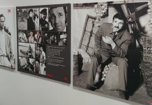 Премијерно отворена изложба „Бата у 90 слика“