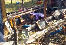 Медвједи нанијели штету на 11 породичних газдинстава