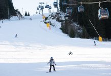 Дочек Нове године уз Весну Змијанац