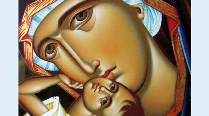 Данас Материце