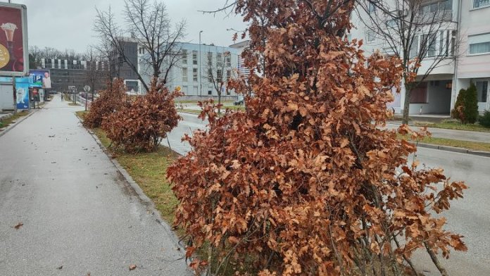 Источно Сарајево - празници