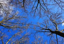 За викенд претежно сунчано и суво вријеме