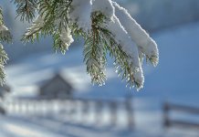 Сутра промјенљиво облачно и веома хладно