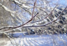 Ноћас падавине, сутра током дана разведравање