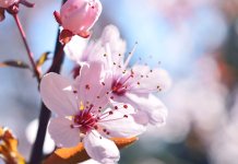 За викенд и до 29 степени Целзијусових