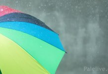 Прије подне киша, послије подне дјелимично разведравање