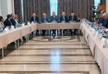 Будимир: Породична медицина – стуб развоја здравственог система