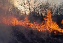 Ватрогасци цијелу ноћ гасили пожар у селу Bишковићи