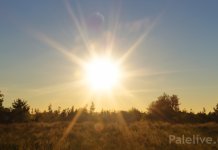 Данас сунчано и врло топло