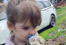 Данка Илић је убијена