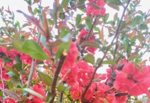 Прије подне врло топло, а потом ноблачење са падавинама и захлађење