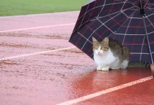 И наредних дана хладно са кишом