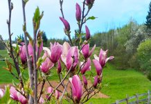 Претежно сунчано и врло топло