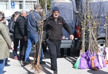 Подијељено 1.500 садница воћа