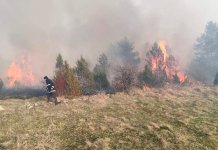 Опрез при паљењу ватре на отвореном