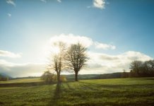 Претежно сунчано и топлије