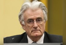 Посљедњи је час да се Караџић и Младић премјесте у квалификовану здравствену установу