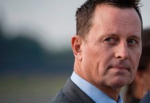 Гренел сагласан са Зурофом да злочин у Сребреници није геноцид