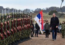 Српској је важна одбрамбена способност Србије