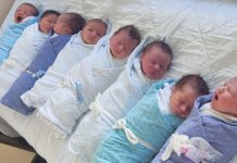 Рођене 32 бебе