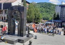 Јоловић: „Вукови са Дрине“ најелитнија јединица српске војске