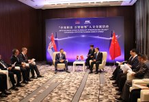 Митић: Очекујем да Пекинг максимално подржи Србе