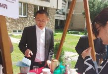 У „Улици чаја“ представљено фочанско богатство различитости