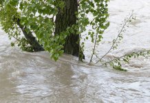 Због обилних падавина могућ пораст водостаја