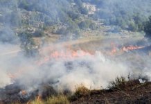 Активна четири пожара, највећи у НП „Сутјеска“